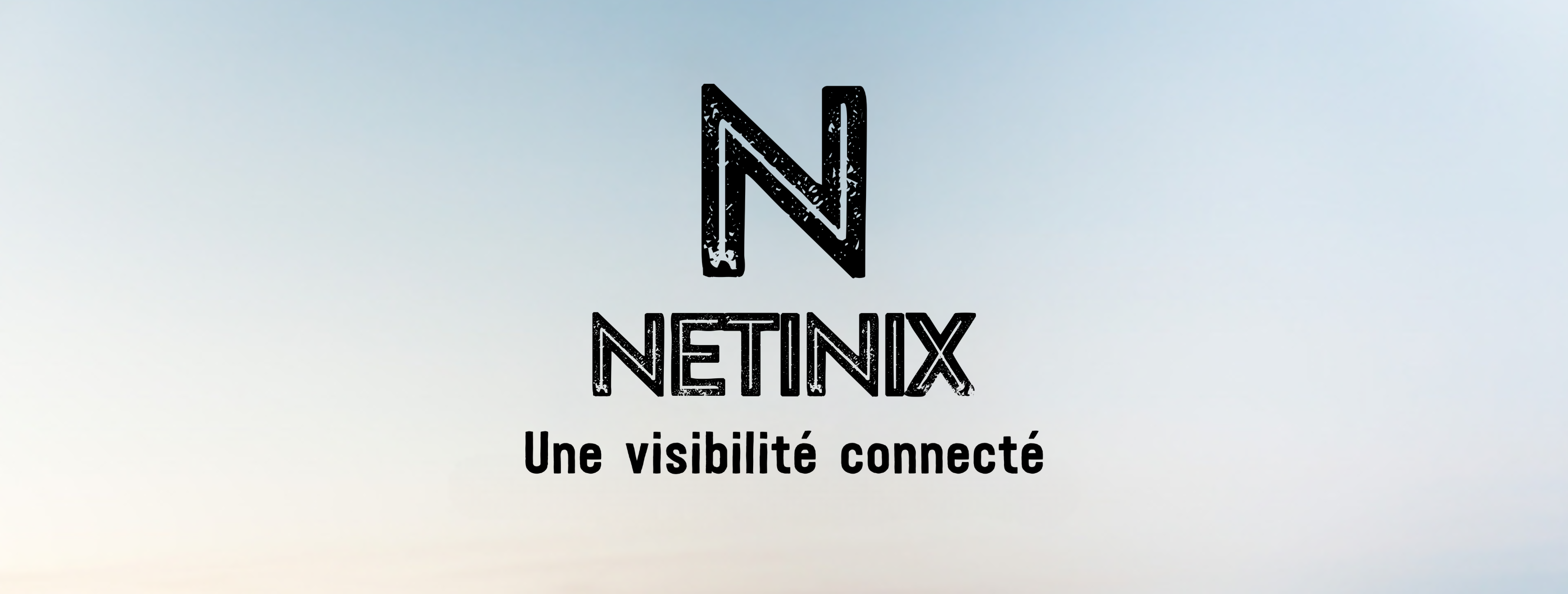 logo Netinix